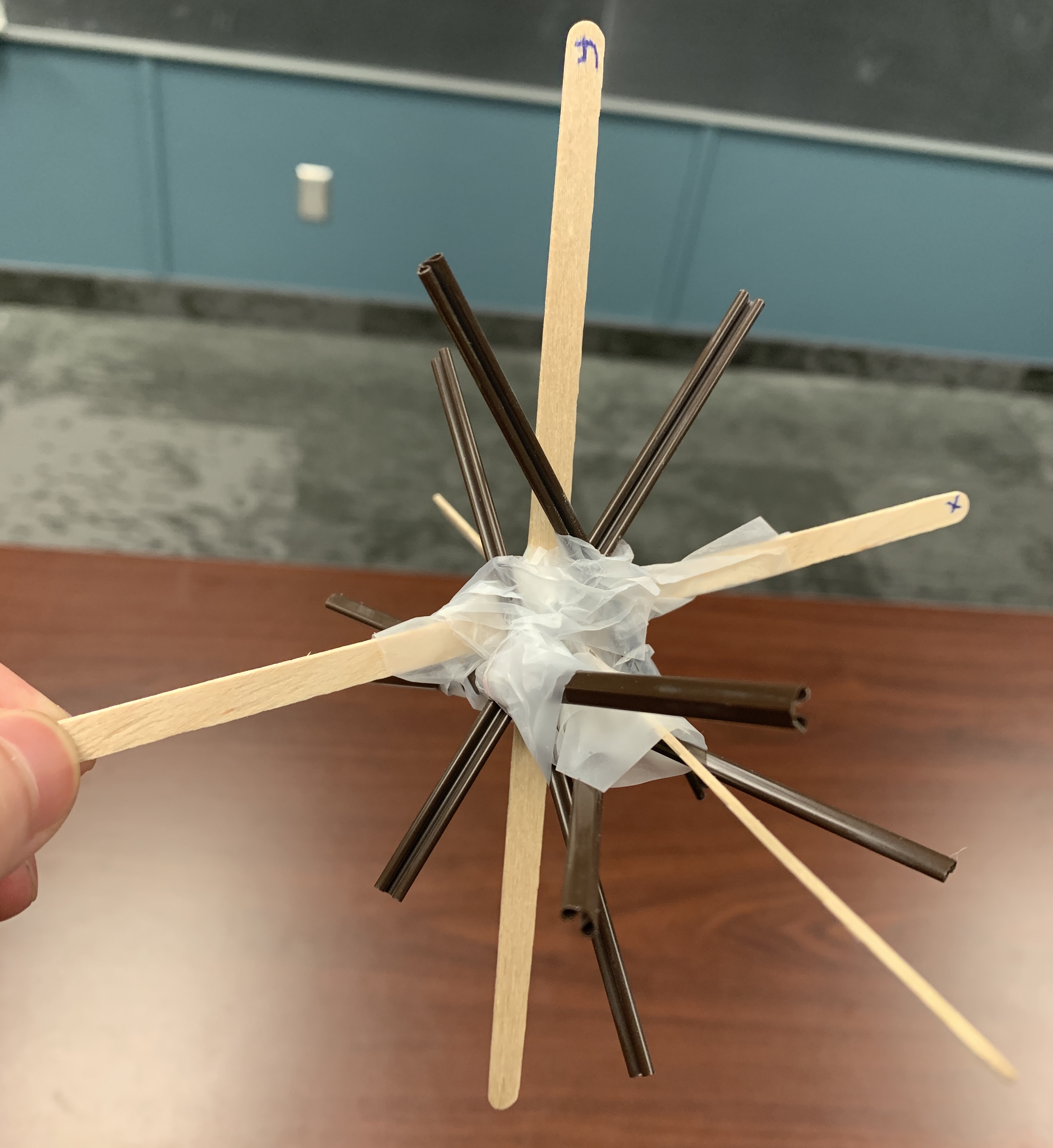 Physical model of the root system C3